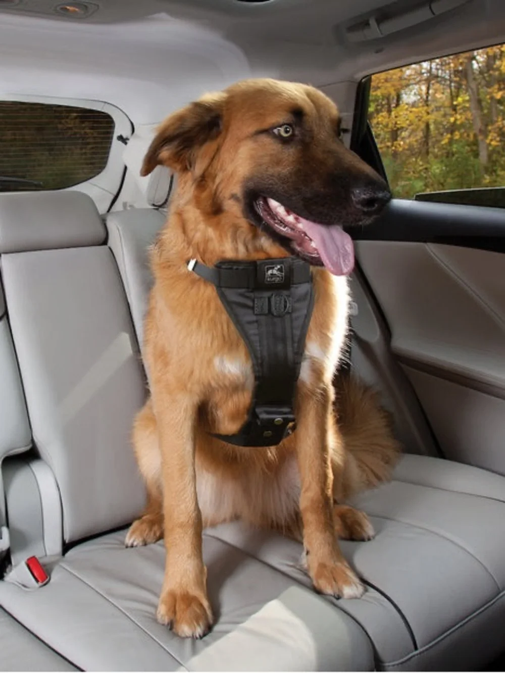 Kurgo Black No-Pull Chest Harness with Quilted Padding
